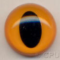 Orange Eye
