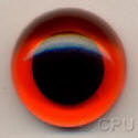 Amber Eye