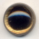 Gold Eye