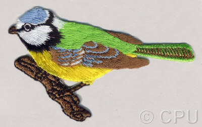 Bird on a Branch 
