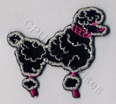 Black Poodle 