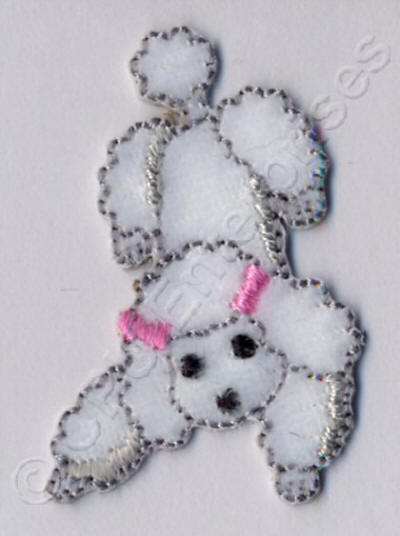 White Poodle 