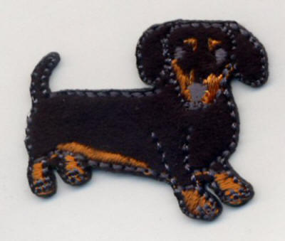 Dachshund 