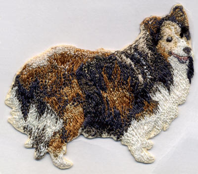 Sheltie Dog 