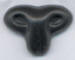Cats Noses